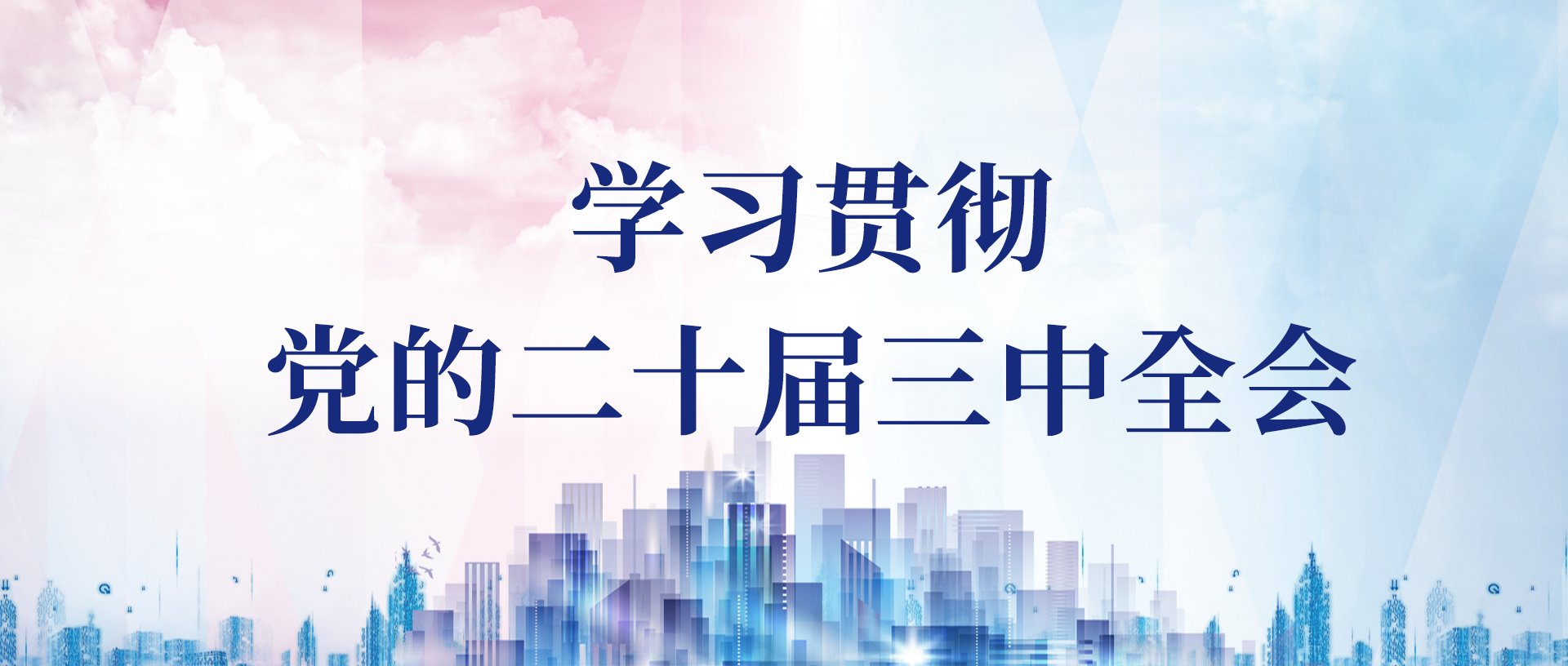 津投资本党委举办学习贯彻党的二十届三中全会精神专题培训